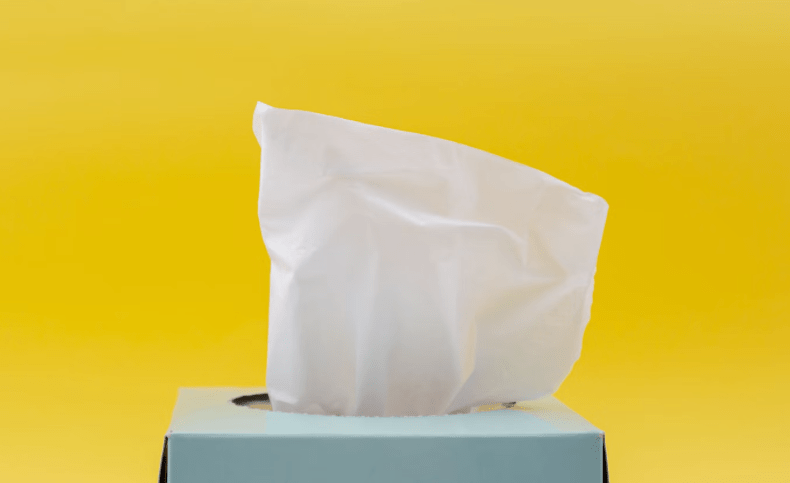 Bridge Travel: Always pack this for bridge cruises